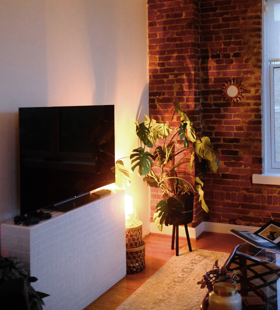 Living room with lamp and plants